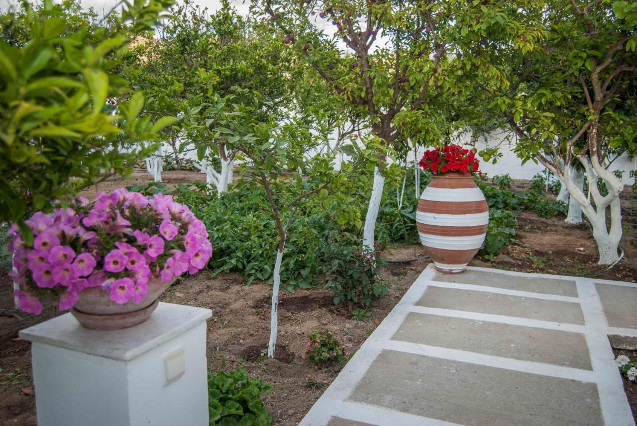 Perivoli 3-Chora Appartement Agkidia Buitenkant foto